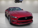 2021 Mustang Thumbnail 8