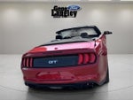2021 Mustang Thumbnail 15