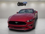 2021 Mustang Thumbnail 6