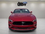 2021 Mustang Thumbnail 7