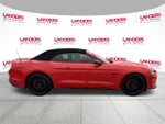 2022 Mustang Thumbnail 2