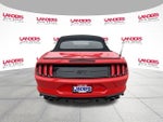 2022 Mustang Thumbnail 4
