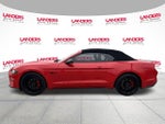 2022 Mustang Thumbnail 6