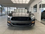 2017 Mustang Thumbnail 2