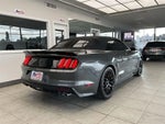 2017 Mustang Thumbnail 5