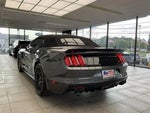 2017 Mustang Thumbnail 7