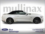 2017 Mustang Thumbnail 2