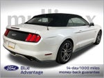 2017 Mustang Thumbnail 4