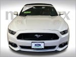 2017 Mustang Thumbnail 14