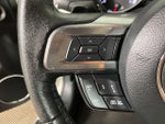 2017 Mustang Thumbnail 17