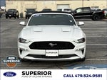 2018 Mustang Thumbnail 15
