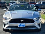 2019 Mustang Thumbnail 6