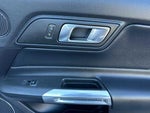 2019 Mustang Thumbnail 14