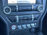 2019 Mustang Thumbnail 18