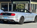 2019 Mustang Thumbnail 3