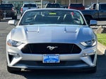 2019 Mustang Thumbnail 6