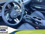 2019 Mustang Thumbnail 3