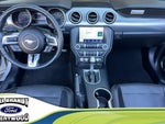 2019 Mustang Thumbnail 4