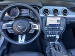 2019 Mustang Thumbnail 11