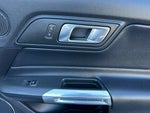 2019 Mustang Thumbnail 13