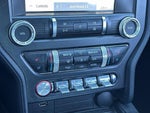 2019 Mustang Thumbnail 17