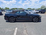 2019 Mustang Thumbnail 2