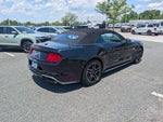 2019 Mustang Thumbnail 3