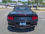 2019 Mustang Thumbnail 4