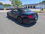 2019 Mustang Thumbnail 5