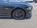 2019 Mustang Thumbnail 9