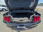 2019 Mustang Thumbnail 12