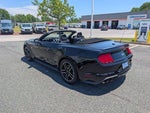 2019 Mustang Thumbnail 29