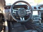 2019 Mustang Thumbnail 17