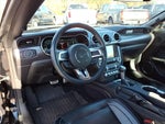 2019 Mustang Thumbnail 19