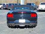 2019 Mustang Thumbnail 23