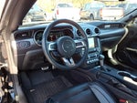 2019 Mustang Thumbnail 19