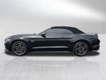 2015 Mustang Thumbnail 3