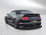 2015 Mustang Thumbnail 4