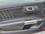 2015 Mustang Thumbnail 12