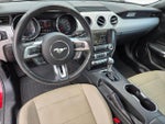 2015 Mustang Thumbnail 17