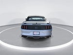 2016 Mustang Thumbnail 7