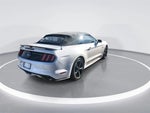 2016 Mustang Thumbnail 8