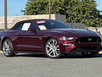 2018 Mustang Thumbnail 14