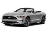 2019 Mustang Thumbnail 1