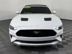 2019 Mustang Thumbnail 2