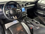 2019 Mustang Thumbnail 11