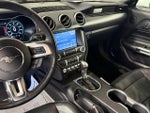 2019 Mustang Thumbnail 13