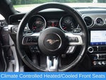 2020 Mustang Thumbnail 15