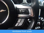 2020 Mustang Thumbnail 17
