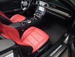 2020 Mustang Thumbnail 28